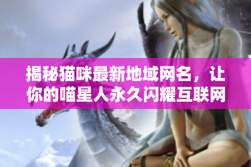 揭秘猫咪最新地域网名，让你的喵星人永久闪耀互联网