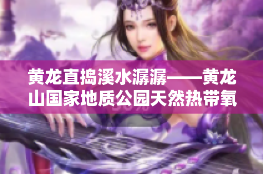 黄龙直捣溪水潺潺——黄龙山国家地质公园天然热带氧吧