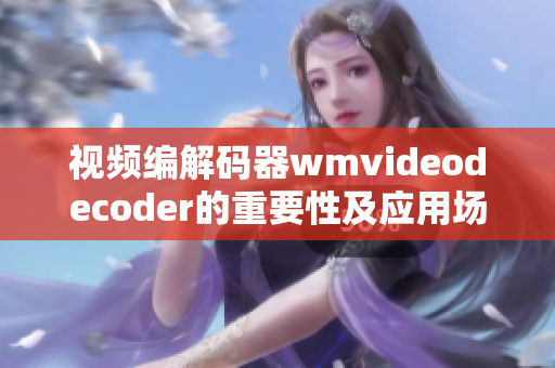 视频编解码器wmvideodecoder的重要性及应用场景
