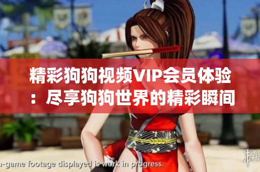 精彩狗狗视频VIP会员体验：尽享狗狗世界的精彩瞬间和专属服务(1)