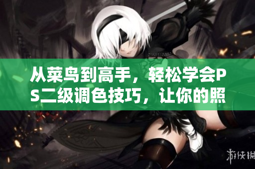 从菜鸟到高手，轻松学会PS二级调色技巧，让你的照片变成大片
