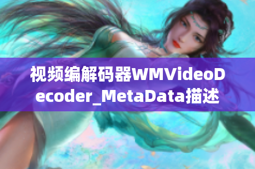 视频编解码器WMVideoDecoder_MetaData描述