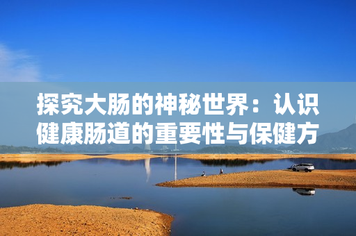 探究大肠的神秘世界：认识健康肠道的重要性与保健方法