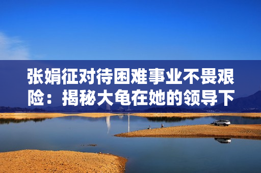 张娟征对待困难事业不畏艰险：揭秘大龟在她的领导下逐步迈进
