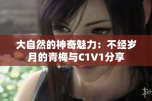 大自然的神奇魅力：不经岁月的青梅与C1V1分享