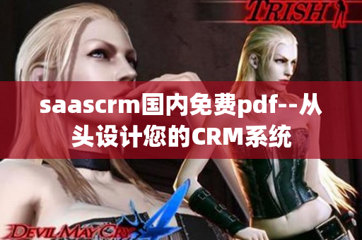 saascrm国内免费pdf--从头设计您的CRM系统