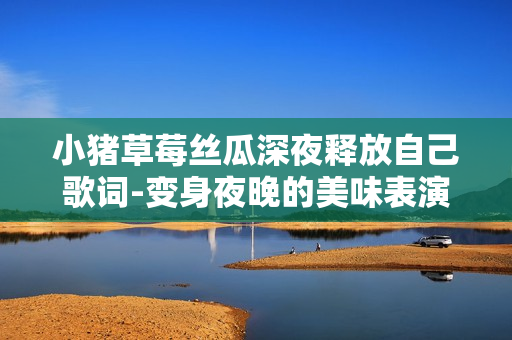 小猪草莓丝瓜深夜释放自己歌词-变身夜晚的美味表演