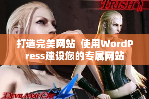 打造完美网站 使用WordPress建设您的专属网站 打造完美网站 使用WordPress建设您的专属网站