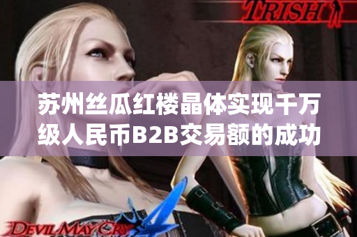 苏州丝瓜红楼晶体实现千万级人民币B2B交易额的成功经验(1)