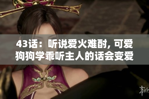 43话：听说爱火难酎, 可爱狗狗学乖听主人的话会变爱火？