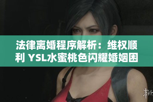 法律离婚程序解析：维权顺利 YSL水蜜桃色闪耀婚姻困局