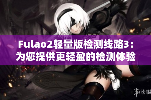 Fulao2轻量版检测线路3：为您提供更轻盈的检测体验