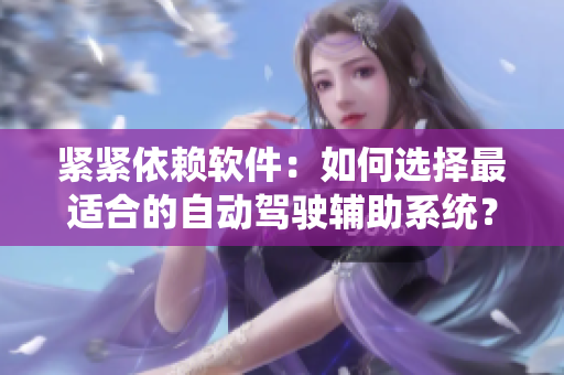紧紧依赖软件：如何选择最适合的自动驾驶辅助系统？
