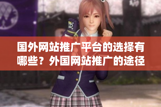 国外网站推广平台的选择有哪些？外国网站推广的途径有哪些？(1)