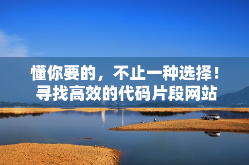 懂你要的，不止一种选择！ 寻找高效的代码片段网站推荐