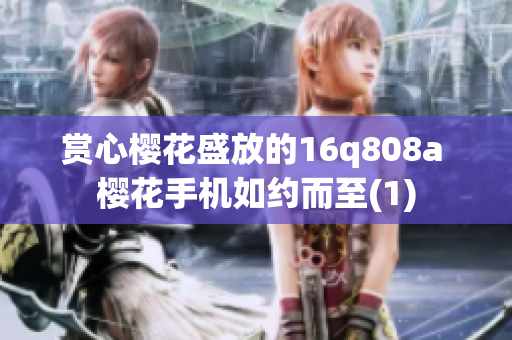 赏心樱花盛放的16q808a 樱花手机如约而至(1)
