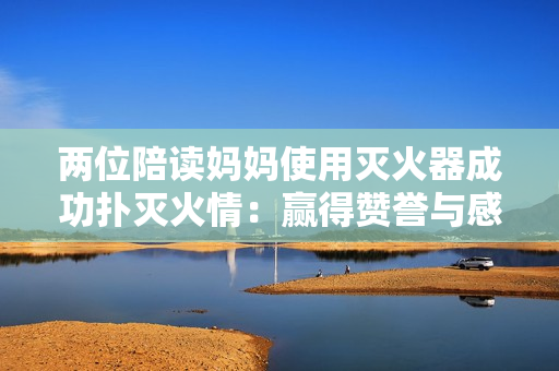 两位陪读妈妈使用灭火器成功扑灭火情：赢得赞誉与感慨