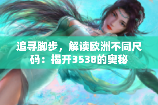 追寻脚步，解读欧洲不同尺码：揭开3538的奥秘