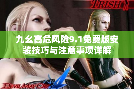 九幺高危风险9.1免费版安装技巧与注意事项详解