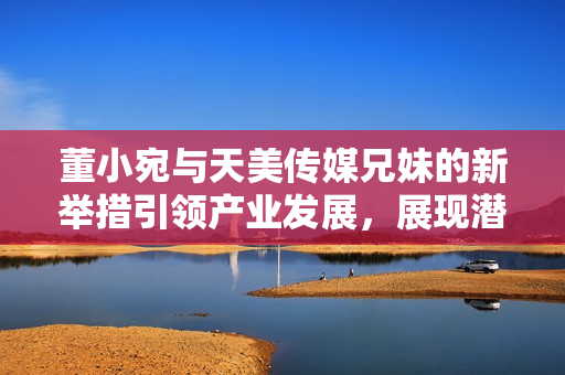 董小宛与天美传媒兄妹的新举措引领产业发展，展现潜力