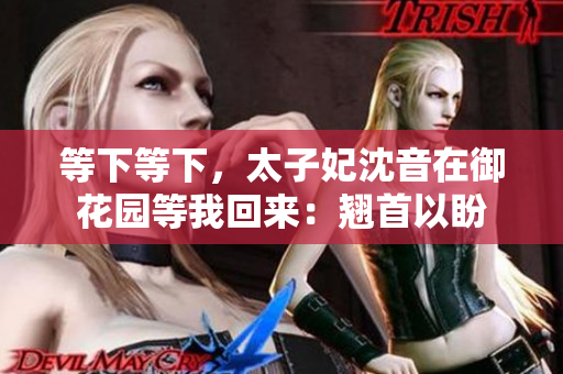 等下等下，太子妃沈音在御花园等我回来：翘首以盼