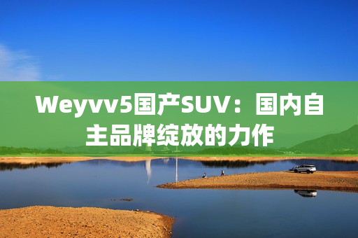 Weyvv5国产SUV：国内自主品牌绽放的力作