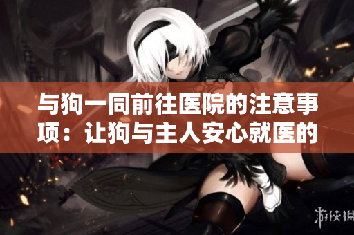 与狗一同前往医院的注意事项：让狗与主人安心就医的必要细节