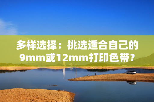 多样选择：挑选适合自己的9mm或12mm打印色带？