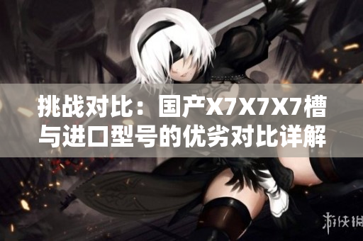 挑战对比：国产X7X7X7槽与进口型号的优劣对比详解