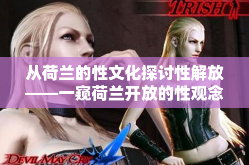 从荷兰的性文化探讨性解放——一窥荷兰开放的性观念