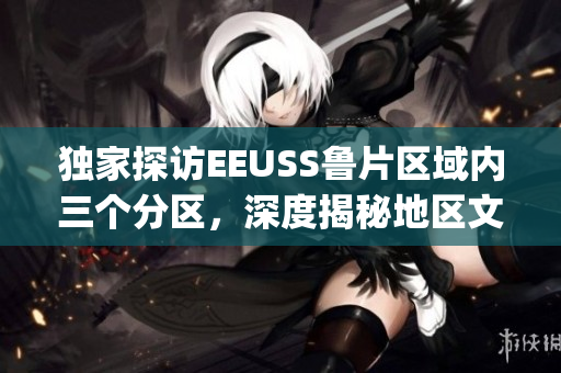 独家探访EEUSS鲁片区域内三个分区，深度揭秘地区文化风貌(1)