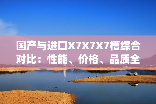 国产与进口X7X7X7槽综合对比：性能、价格、品质全面解析(1)