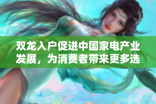 双龙入户促进中国家电产业发展，为消费者带来更多选择和便利