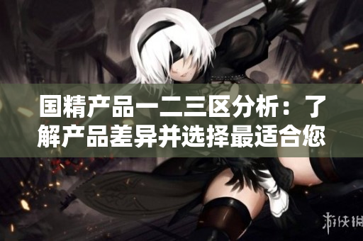 国精产品一二三区分析：了解产品差异并选择最适合您的产品