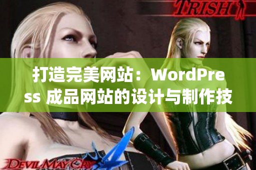 打造完美网站：WordPress 成品网站的设计与制作技巧(1)