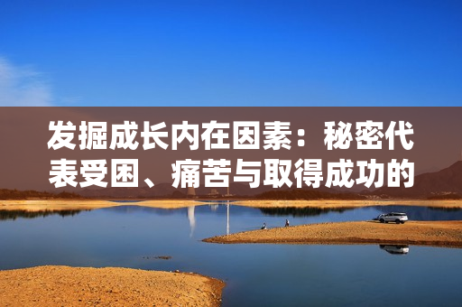 发掘成长内在因素：秘密代表受困、痛苦与取得成功的关键
