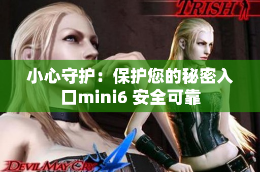 小心守护：保护您的秘密入口mini6 安全可靠