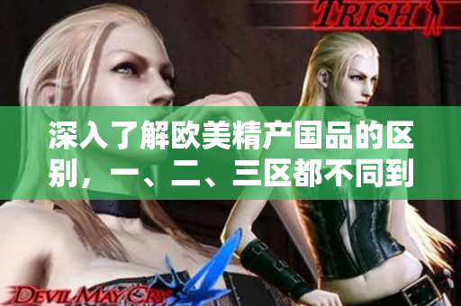 深入了解欧美精产国品的区别，一、二、三区都不同到底！