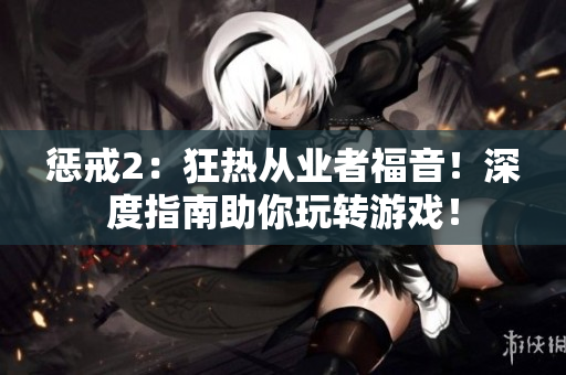 惩戒2：狂热从业者福音！深度指南助你玩转游戏！