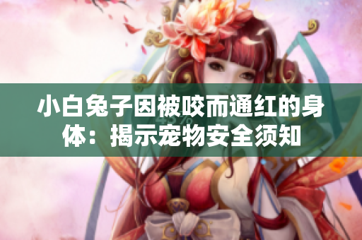小白兔子因被咬而通红的身体:揭示宠物安全须知 小白兔子因被咬而通红的身体:揭示宠物安全须知