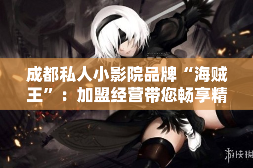 成都私人小影院品牌“海贼王”：加盟经营带您畅享精彩电影世界
