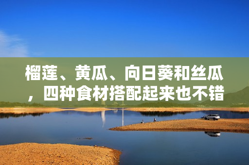 榴莲、黄瓜、向日葵和丝瓜，四种食材搭配起来也不错哦！