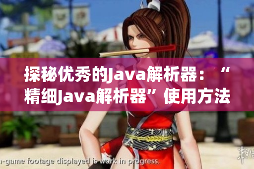 探秘优秀的Java解析器：“精细Java解析器”使用方法详解