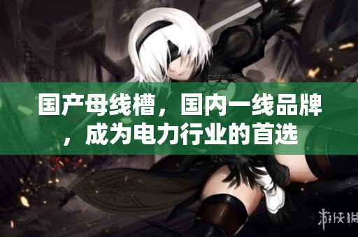 国产母线槽，国内一线品牌，成为电力行业的首选