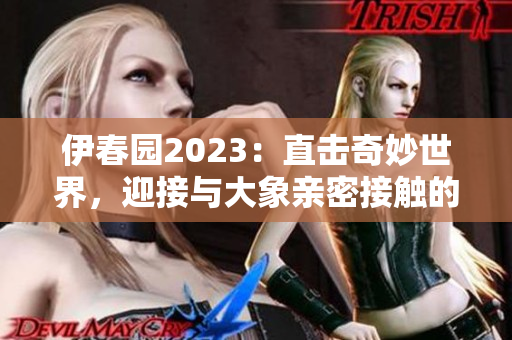 伊春园2023：直击奇妙世界，迎接与大象亲密接触的冒险之旅！