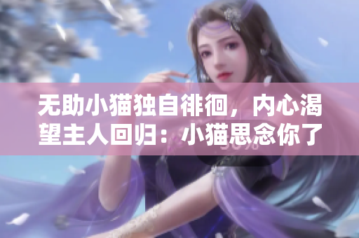 无助小猫独自徘徊，内心渴望主人回归：小猫思念你了
