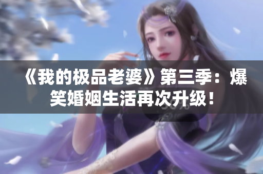 《我的极品老婆》第三季：爆笑婚姻生活再次升级！