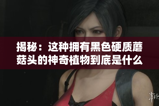 揭秘：这种拥有黑色硬质蘑菇头的神奇植物到底是什么？