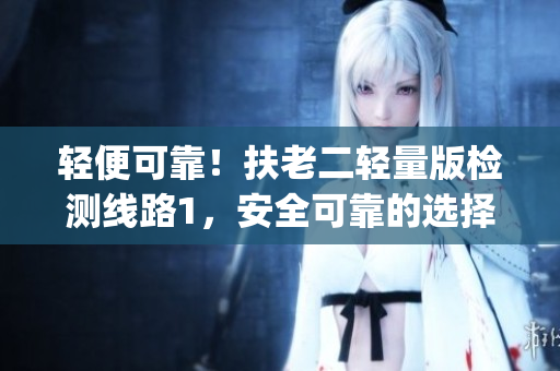 轻便可靠！扶老二轻量版检测线路1，安全可靠的选择(1)