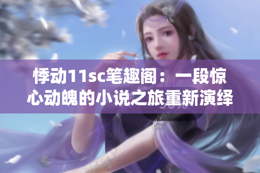 悸动11sc笔趣阁：一段惊心动魄的小说之旅重新演绎